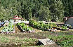 Photo of raised beds
